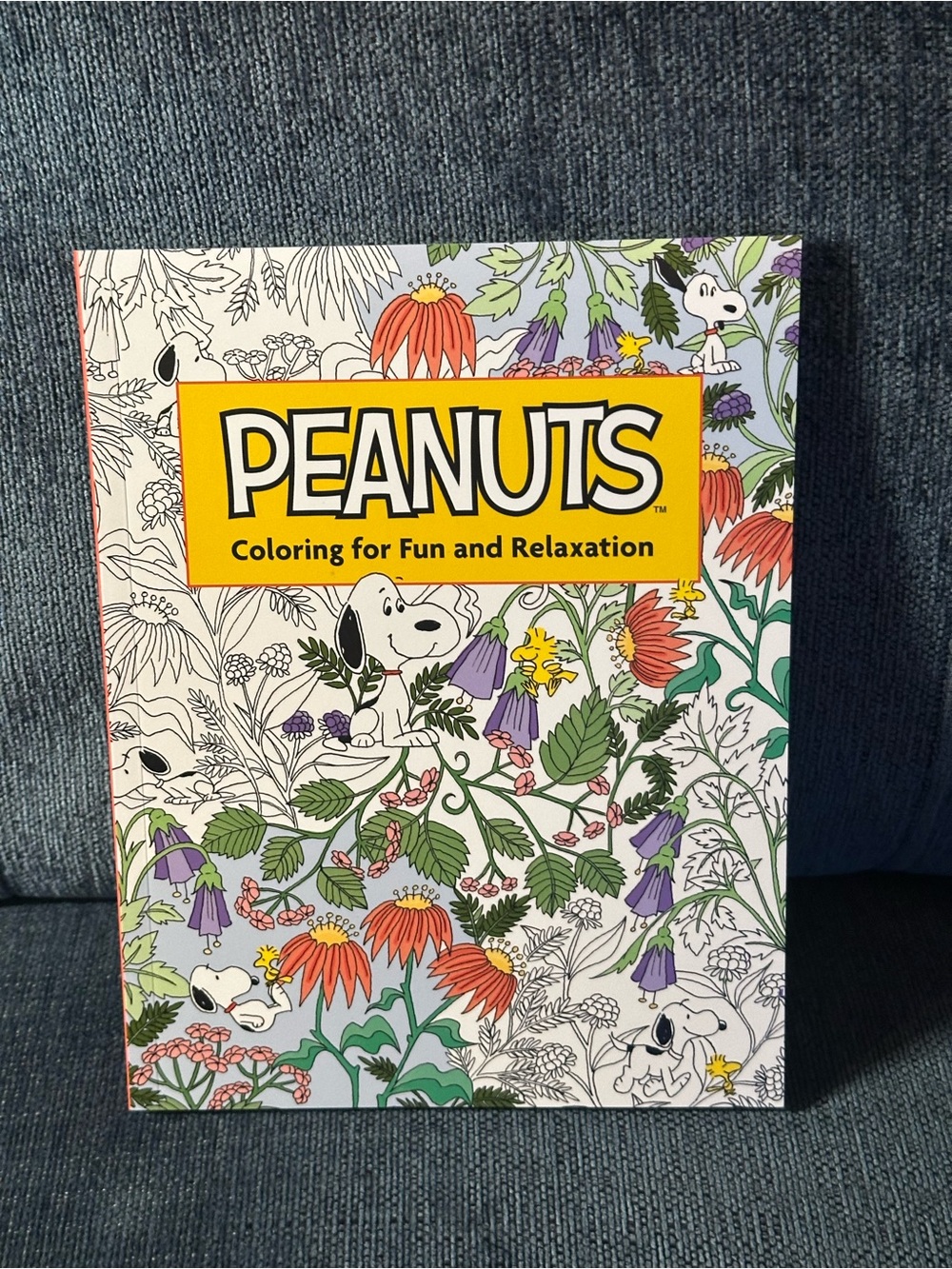 Peanuts Coloring for Fun & Relaxation
